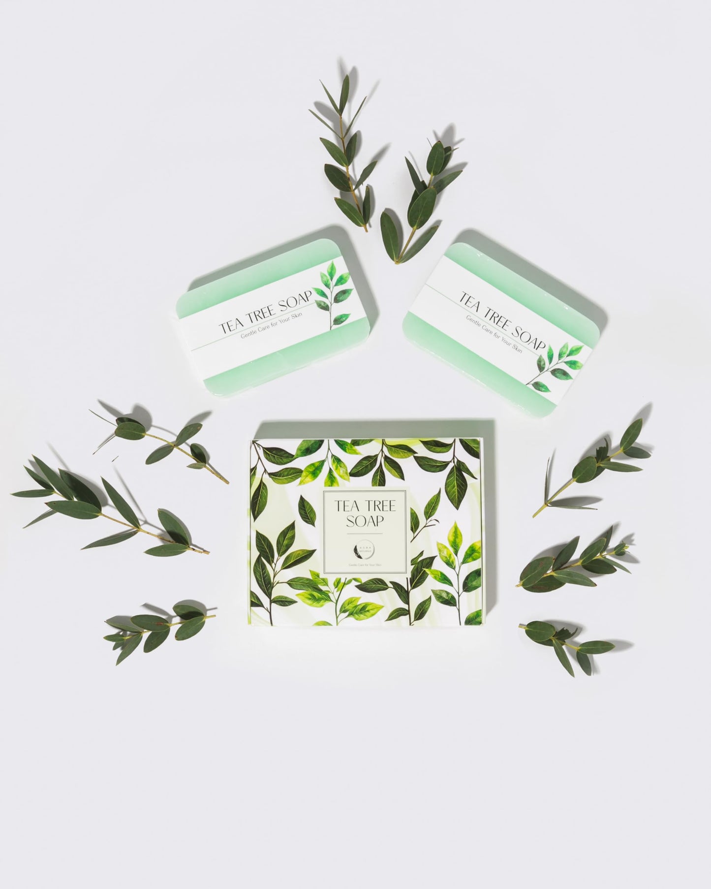 Aura Naturals Tea Tree Soap Bar - Set of 2, Natural Soap Bar for Face & Body Wash, Tea Tree Oil Soap with Anti Fungal Properties for Body Itching Acne Athlete's Foot Folliculitis